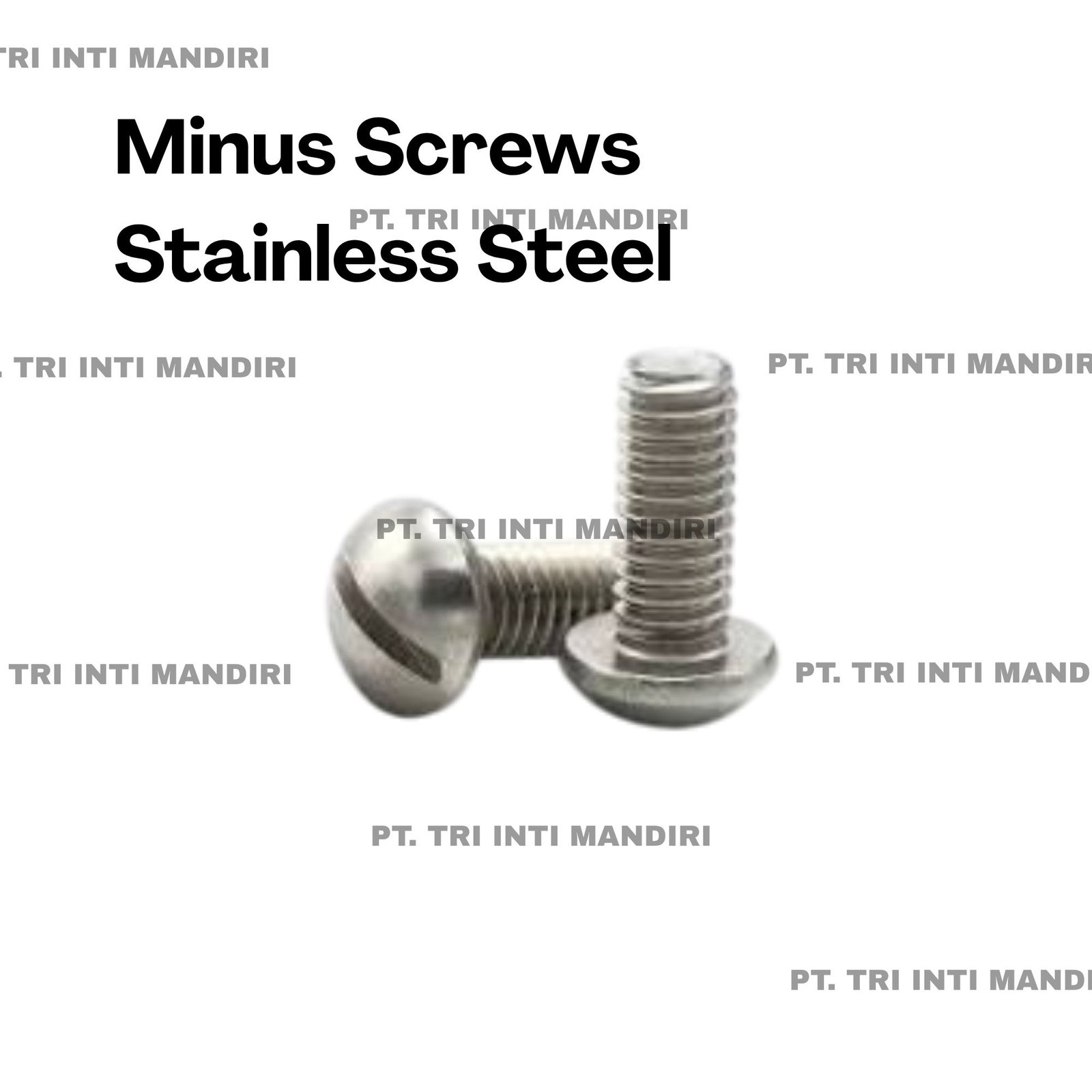 MINUS SCREWS STAINLESS STEEL